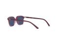Ray-Ban Leonard Jr Zonnebril RJ 9093S 7112/80