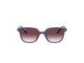Ray-Ban Junior Leonard Zonnebril 9093S 713136