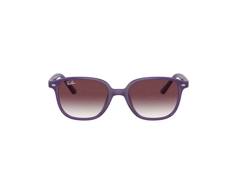 Ray-Ban Junior Leonard Zonnebril RJ 9093S 713136