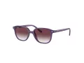 Ray-Ban Junior Leonard Zonnebril 9093S 713136
