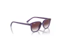 Ray-Ban Junior Leonard Zonnebril 9093S 713136