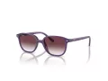 Ray-Ban Junior Leonard Zonnebril 9093S 713136
