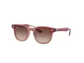 Ray-Ban Zonnebril RJ 9098S 715413