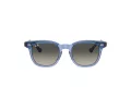 Ray-Ban Zonnebril RJ 9098S 715911