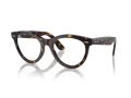 Ray-Ban Wayfarer Way Brillen RX 2241V 2012