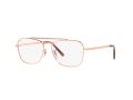 Ray-Ban New Caravan Brillen RX 3636V 3094