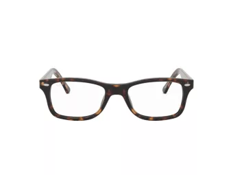 Ray-Ban Brillen RX 5228 2012