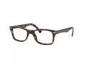 Ray-Ban Brillen RX 5228 2012