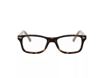 Ray-Ban Brillen RX 5228 5545