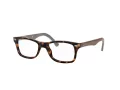 Ray-Ban Brillen RX 5228 5545