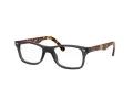 Ray-Ban Brillen RX 5228 5629