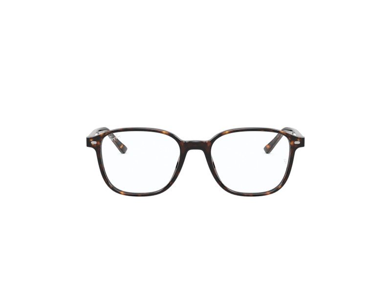 Ray-Ban Leonard RX 5393 2012 47 Brillen