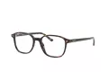 Ray-Ban Leonard Brillen RX 5393 2012