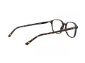 Ray-Ban Leonard Brillen RX 5393 2012