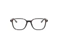Ray-Ban Leonard Brillen RX 5393 2012