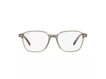 Ray-Ban Leonard Brillen RX 5393 8178