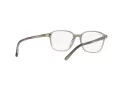 Ray-Ban Leonard Brillen RX 5393 8178