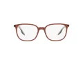 Ray-Ban Brillen RX 5406 8171