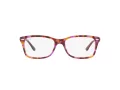Ray-Ban Brillen RX 5428 8175