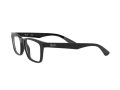 Ray-Ban Brillen RX 7025 2000