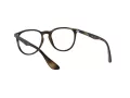 Ray-Ban Erika Brillen 7046 5365