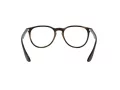 Ray-Ban Erika Brillen 7046 5365