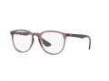 Ray-Ban Erika Brillen RX 7046 8139