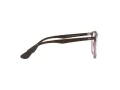 Ray-Ban Erika Brillen RX 7046 8139