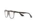 Ray-Ban Erika Brillen RX 7046 8140