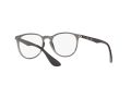 Ray-Ban Erika Brillen RX 7046 8140
