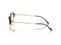 Ray-Ban Brillen RX 0RX7229 2012