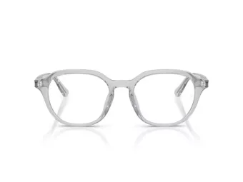 Ray-Ban Brillen RX 7259D 8411