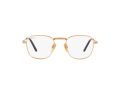Ray-Ban Frank Titanium Brillen RX 8258V 1220