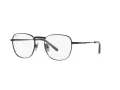Ray-Ban Frank Titanium Brillen RX 8258V 1237