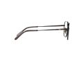 Ray-Ban Frank Titanium Brillen RX 8258V 1237