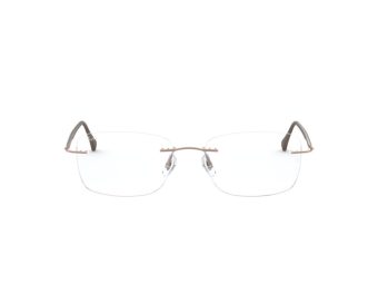 Ray-Ban Brillen RX 8725 1131