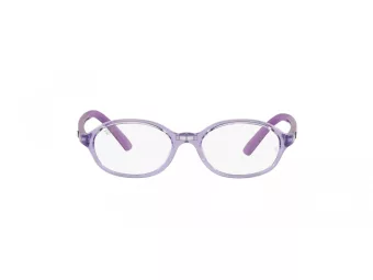 Ray-Ban Brillen 1616D 3911