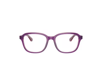 Ray-Ban Brillen RY 1627 3944