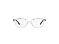 Ray-Ban Leonard Jr Brillen RY 9093V 3541