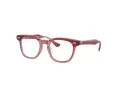 Ray-Ban Brillen RY 9098V 3960