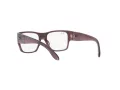 Ray-Ban Wayfarer Nomad Jr Brillen RY 9287V 3902