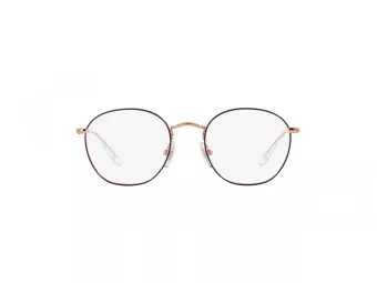 Ray-Ban Junior Rob Brillen RY 9572V 4087