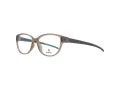 Rodenstock Brillen R 8016 B