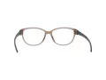 Rodenstock Brillen R 8016 B