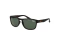 Superdry Zonnebril SDS Rockstar 122