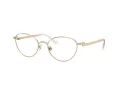 Swarovski Brillen SK 1002 4004