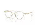 Swarovski Brillen SK 1002 4004