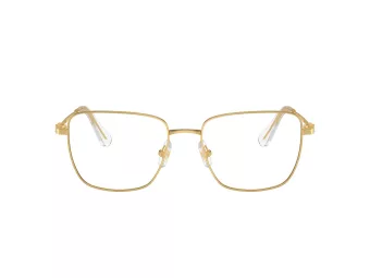   Swarovski SK 1003 4004 53 Női szemüvegkeret (optikai keret)