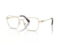 Swarovski Brillen SK 1003 4013