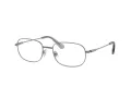 Swarovski Brillen SK 1005 4009